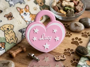 Medaglietta cane gatto personalizzabile