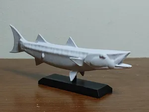 Barracuda Fish Mount