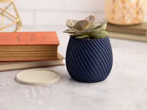 Plant Pot