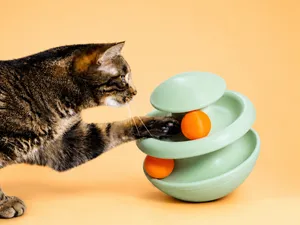 JOUET POUR CHAT