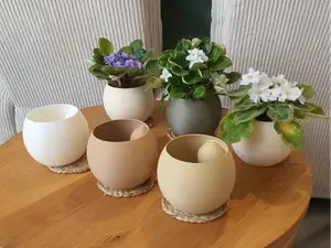 Flowerpot for violet