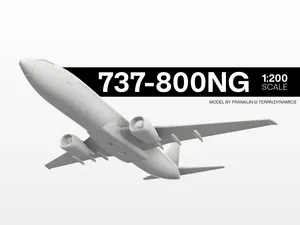 Boeing 737-800NG 1:200 Scale Model