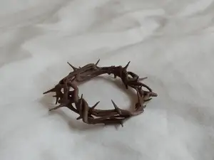 Jesus Crown of Thorns