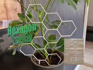 Honeycomb/Hexagon Trellis