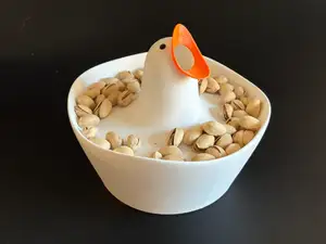 Bird plate for your snacks