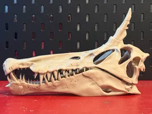 Spinosaurus mirabilis Skull – Removable Jaw