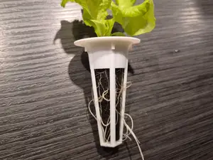Hydroponic Basket
