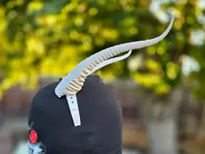 Dragonkin Horns (Made for Hornband)