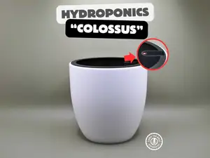 "Colossus" Hydroponics – Built to Impress