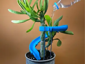 RootSplash - Waterslide for your houseplants