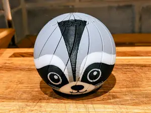 Raccoon Fidget ball.