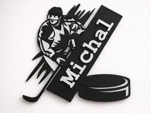 Hockey player with a name