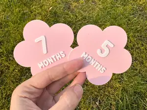 Baby Milestone - Flower (+portuguese)