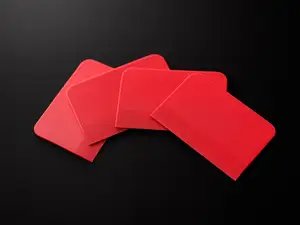 Paint spatula