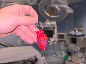 Anatomical Heart Keychain