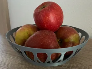 Bowl no supports