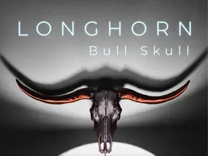 "Longhorn" Bull Skull
