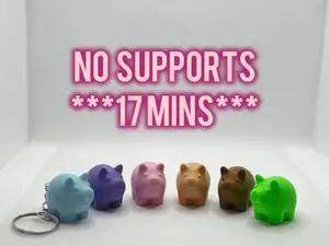Cute mini Pig