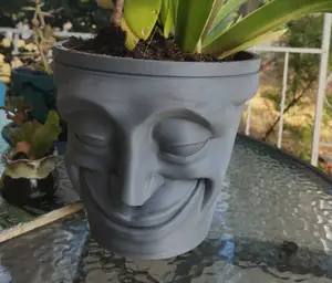 Smiling Face Pot