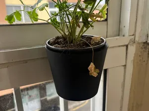 Maceta colgante para ventana