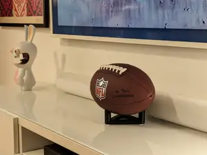 Universal Ball Stand