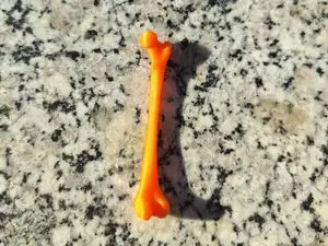 Femur