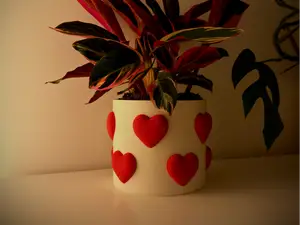 Heart Plant Pot