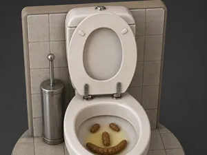 WC mit Kaka