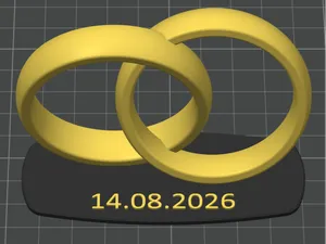 Eheringe Modell / Geschenk Hochzeitstag