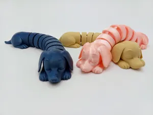 Flexi Dachshund Dog
