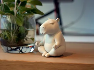 Zen Capybara