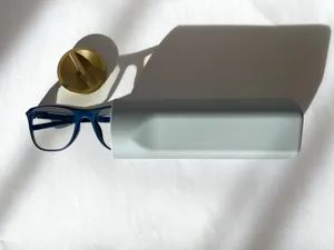 Glasses Case
