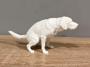 Pooping Labrador Retriever - Animal - Dog
