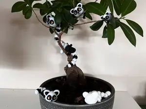 Flexible Lemur