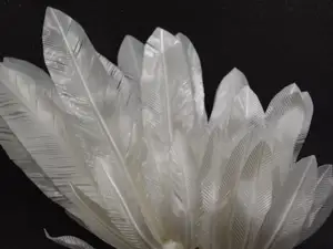 Cosplay Feathers