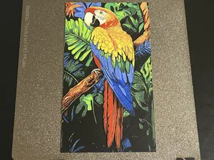 Parrot Animal Hueforge
