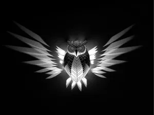 Owl wall light