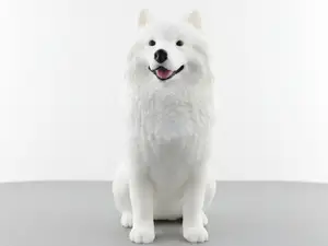 Samoyed Multicolor