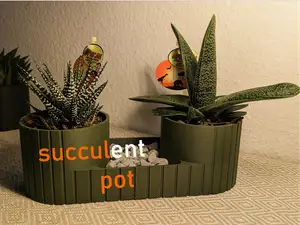 Planter 02 - Plant pot succulent