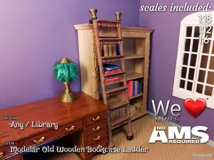WLM - Modular Old Wooden Library Bookcase Ladder