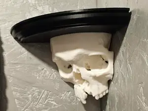 Skull Shelves