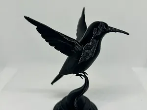 Humming Bird