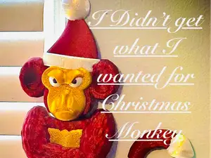 I didn't get what I wanted for Christmas Monkey