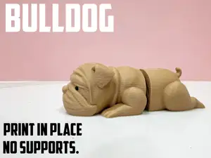 Mini Flexi Bulldog