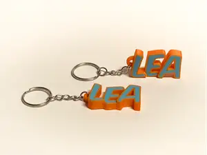Schöner Schlüsselanhänger mit dem Namen Lea
