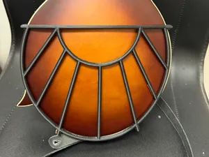 Mandolin Tone Gard