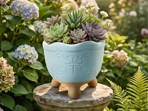 Cute Succulent Planter with Drain Hole Feet