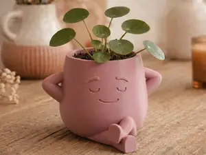 "The Dreamer" - Cozy Zen Planter & Decor