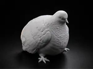 Just a Fat Pigeon