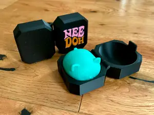 NeeDoh Teenie Cool Cats Case, print in place hinge